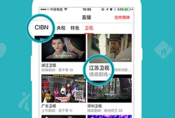 91电视直播app电视版下载,畅享海量直播，一键下载体验
