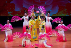 戏剧表演视频,戏剧表演视频中的情感演绎与舞台魅力