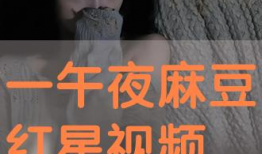 午夜免费视频,揭秘夜幕下的视觉盛宴