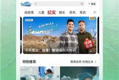 和视频,XX背后的故事与真相