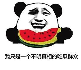 网络名词吃瓜群众什么意思,网络时代的围观者与传播者  第3张