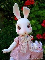 娱乐吃瓜酱兔圆圆,揭秘娱乐圈那些不为人知的幕后故事  第2张