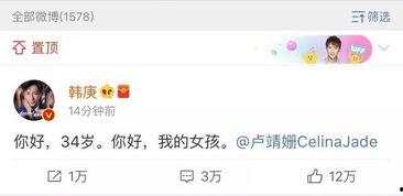 绑定娱乐圈吃瓜系统小说,绑定吃瓜系统，开启全民追剧狂欢之旅  第2张