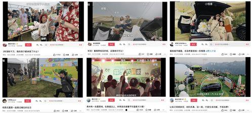 娱乐吃瓜视频剪映下载,轻松下载娱乐视频，畅享追剧乐趣  第3张