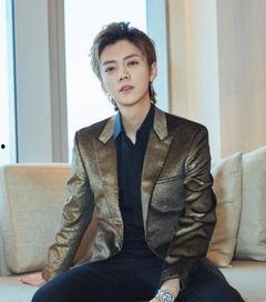 鹿晗在娱乐圈吃瓜,揭秘明星背后的故事与真相  第3张