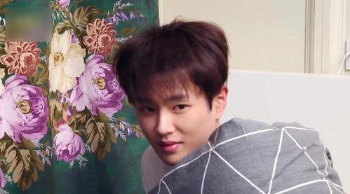 娱乐吃瓜君范丞丞,娱乐吃瓜界的“瓜王”传奇 第2张 娱乐吃瓜君范丞丞,娱乐吃瓜界的“瓜王”传奇 第2张