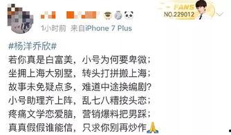 小说吃瓜娱乐,揭秘娱乐圈背后的秘密与真相  第2张